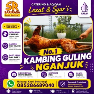 kambing guling nganjuk murah